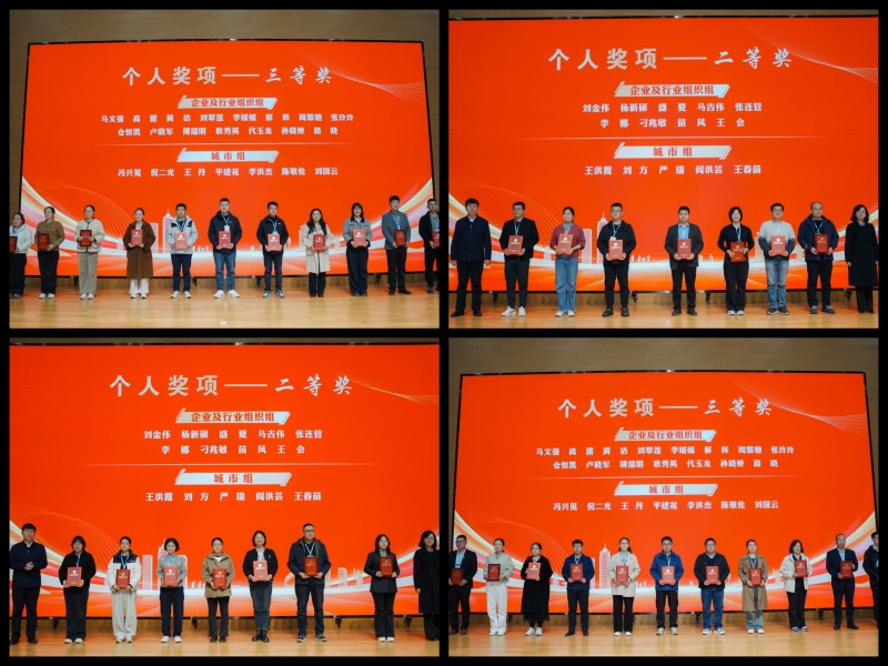 个人奖项颁奖.jpg