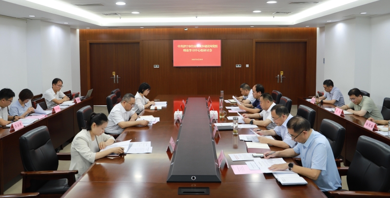 理论学习中心组研讨会0828.jpg